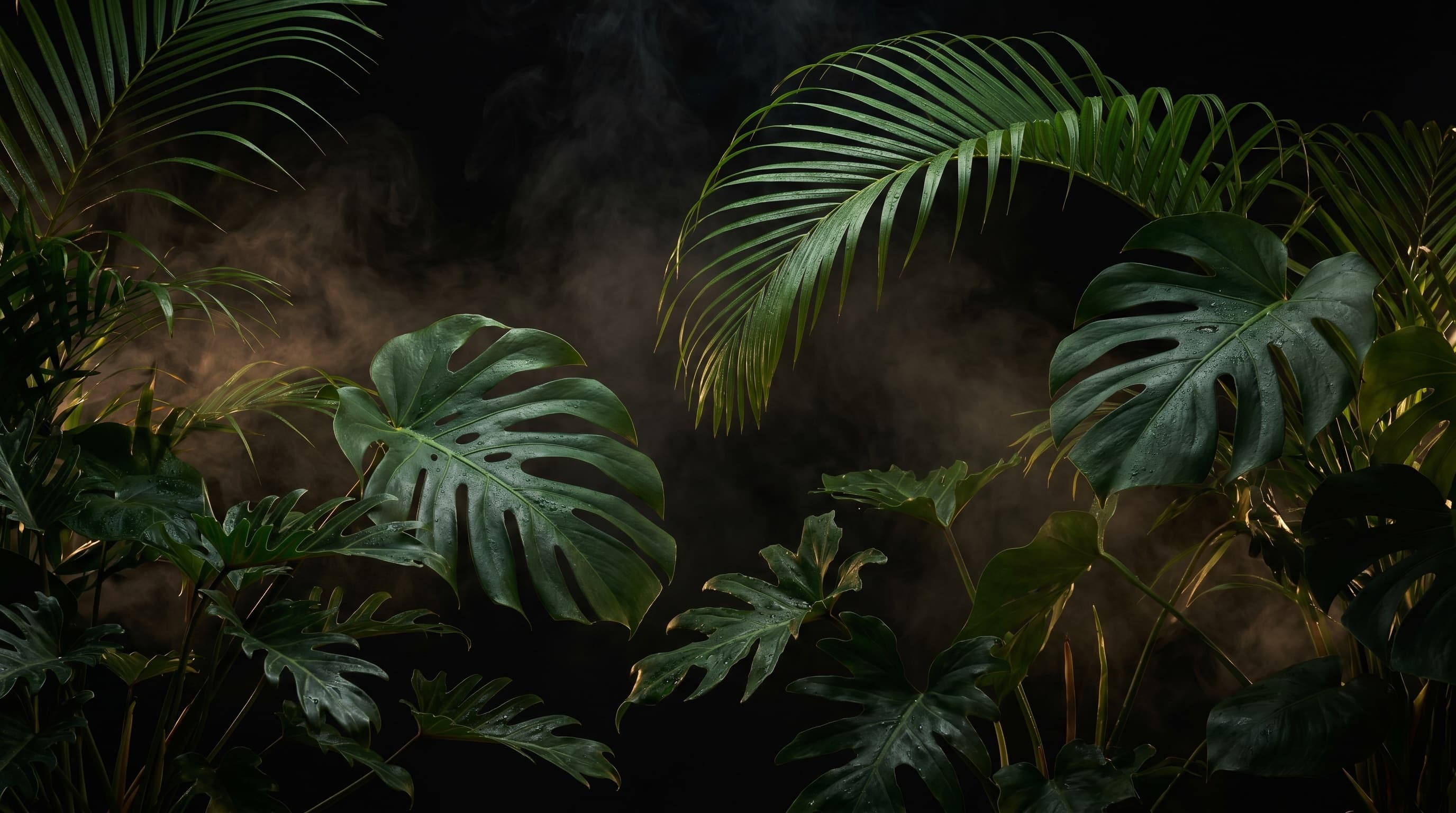 Jungle canopy.